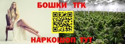 индика Будённовск