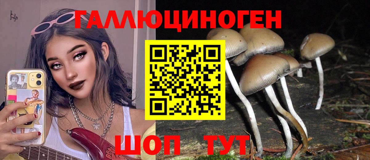 купить закладку  Псилоцибиновые грибы ЛСД  Истра  Вход с VPN  Галлюциногенные грибы Psilocybine cubensis 